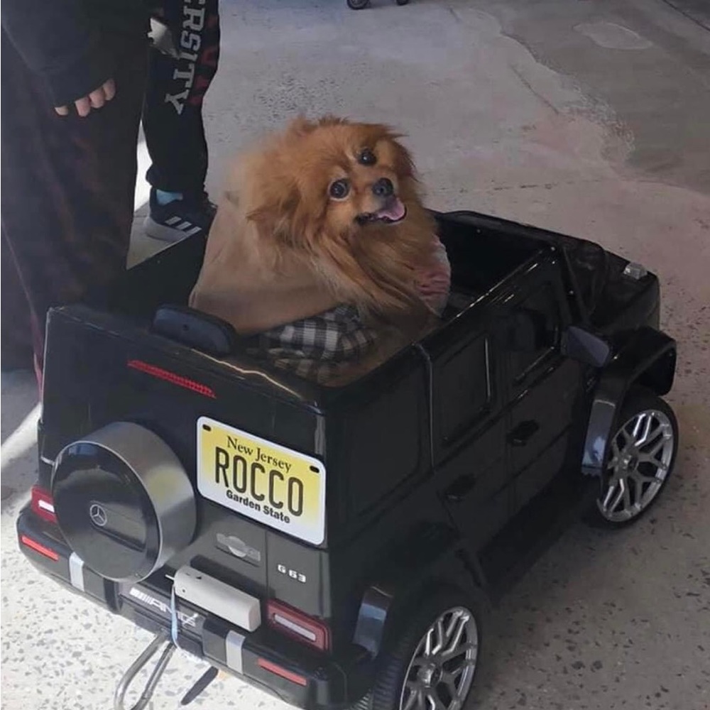 Happy New Year 🎆 2024 - Picture 12 of 14